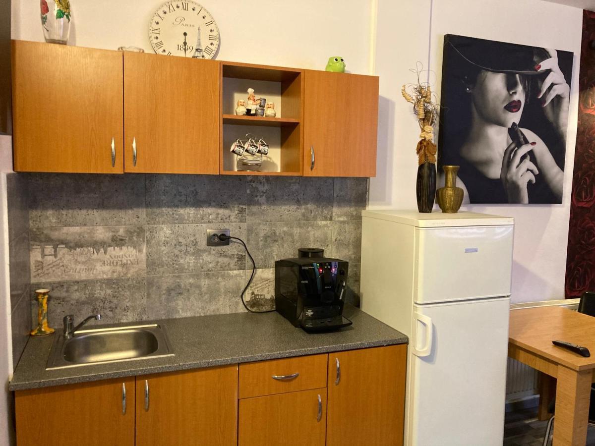 Edit House Apartment Targu Mures Ngoại thất bức ảnh