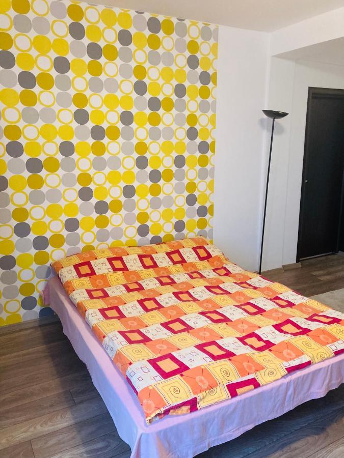 Edit House Apartment Targu Mures Ngoại thất bức ảnh
